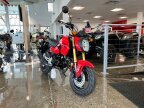 Thumbnail Photo 2 for New 2025 Honda Grom