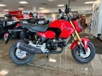 Thumbnail Photo 1 for New 2025 Honda Grom