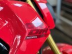 Thumbnail Photo 6 for New 2025 Honda Grom