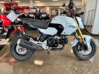 Thumbnail Photo 1 for New 2025 Honda Grom