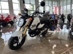 Thumbnail Photo 3 for New 2025 Honda Grom