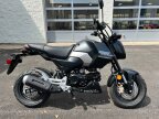 Thumbnail Photo 1 for New 2025 Honda Grom