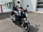 Thumbnail Photo 2 for New 2025 Honda Grom