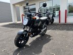 Thumbnail Photo 3 for New 2025 Honda Grom