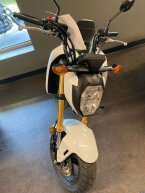 Thumbnail Photo 2 for New 2025 Honda Grom
