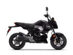 Thumbnail Photo 6 for New 2025 Honda Grom
