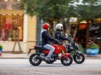 Thumbnail Photo 5 for New 2025 Honda Grom