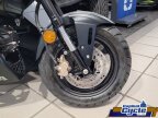 Thumbnail Photo 1 for New 2025 Honda Grom