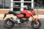 Thumbnail Photo 1 for 2025 Honda Grom