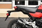 Thumbnail Photo 5 for 2025 Honda Grom