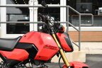 Thumbnail Photo 3 for 2025 Honda Grom