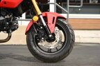 Thumbnail Photo 2 for 2025 Honda Grom