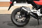 Thumbnail Photo 6 for 2025 Honda Grom