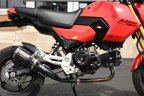 Thumbnail Photo 4 for 2025 Honda Grom