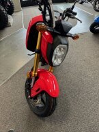 Thumbnail Photo 1 for New 2025 Honda Grom