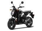 Thumbnail Photo 3 for New 2025 Honda Grom