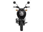 Thumbnail Photo 4 for New 2025 Honda Grom