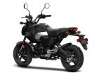 Thumbnail Photo 6 for New 2025 Honda Grom