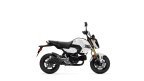 Thumbnail Photo 1 for New 2025 Honda Grom