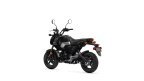 Thumbnail Photo 5 for New 2025 Honda Grom