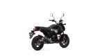 Thumbnail Photo 3 for New 2025 Honda Grom