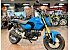 New 2025 Honda Grom