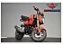 2025 Honda Grom
