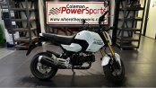 New 2025 Honda Grom
