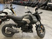 New 2025 Honda Grom