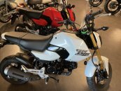 New 2025 Honda Grom