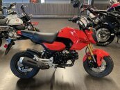 New 2025 Honda Grom