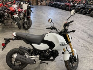 New 2025 Honda Grom
