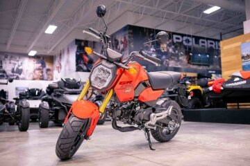 New 2025 Honda Grom