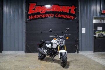 New 2025 Honda Grom