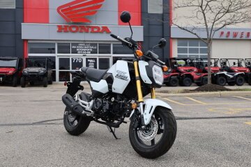 New 2025 Honda Grom