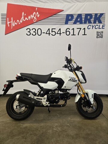 New 2025 Honda Grom