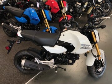 New 2025 Honda Grom