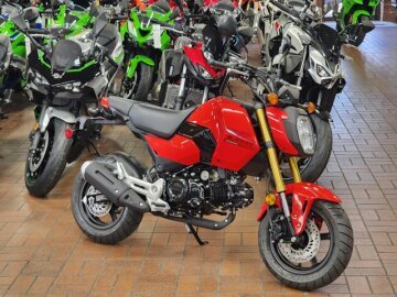 New 2025 Honda Grom