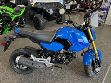 New 2025 Honda Grom