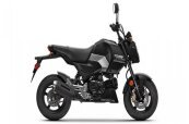 New 2025 Honda Grom