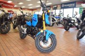 New 2025 Honda Grom