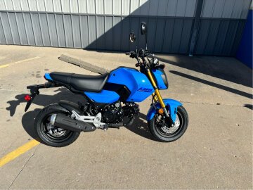 New 2025 Honda Grom