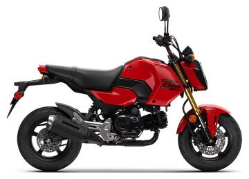 New 2025 Honda Grom