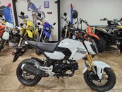 New 2025 Honda Grom