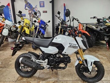 New 2025 Honda Grom