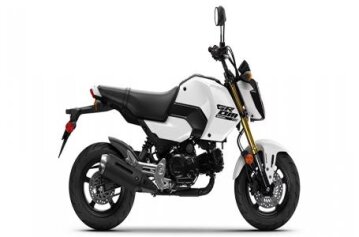 New 2025 Honda Grom