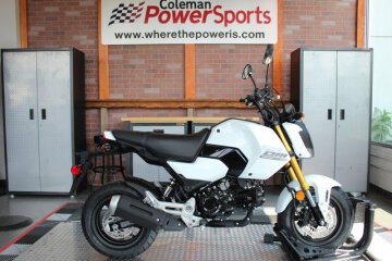 New 2025 Honda Grom
