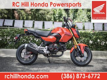 New 2025 Honda Grom