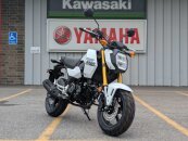 New 2025 Honda Grom
