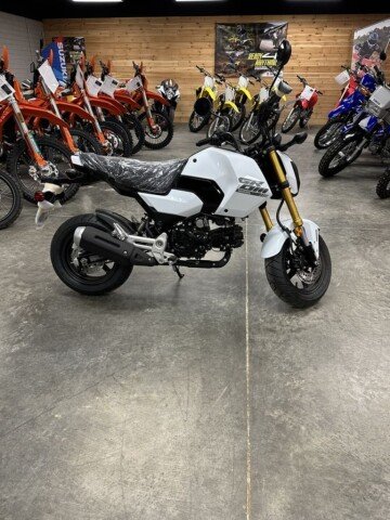New 2025 Honda Grom